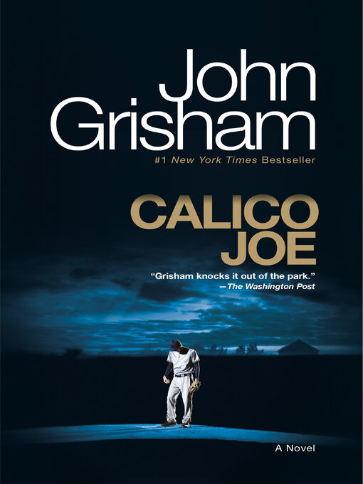 Cover image for Calico Joe